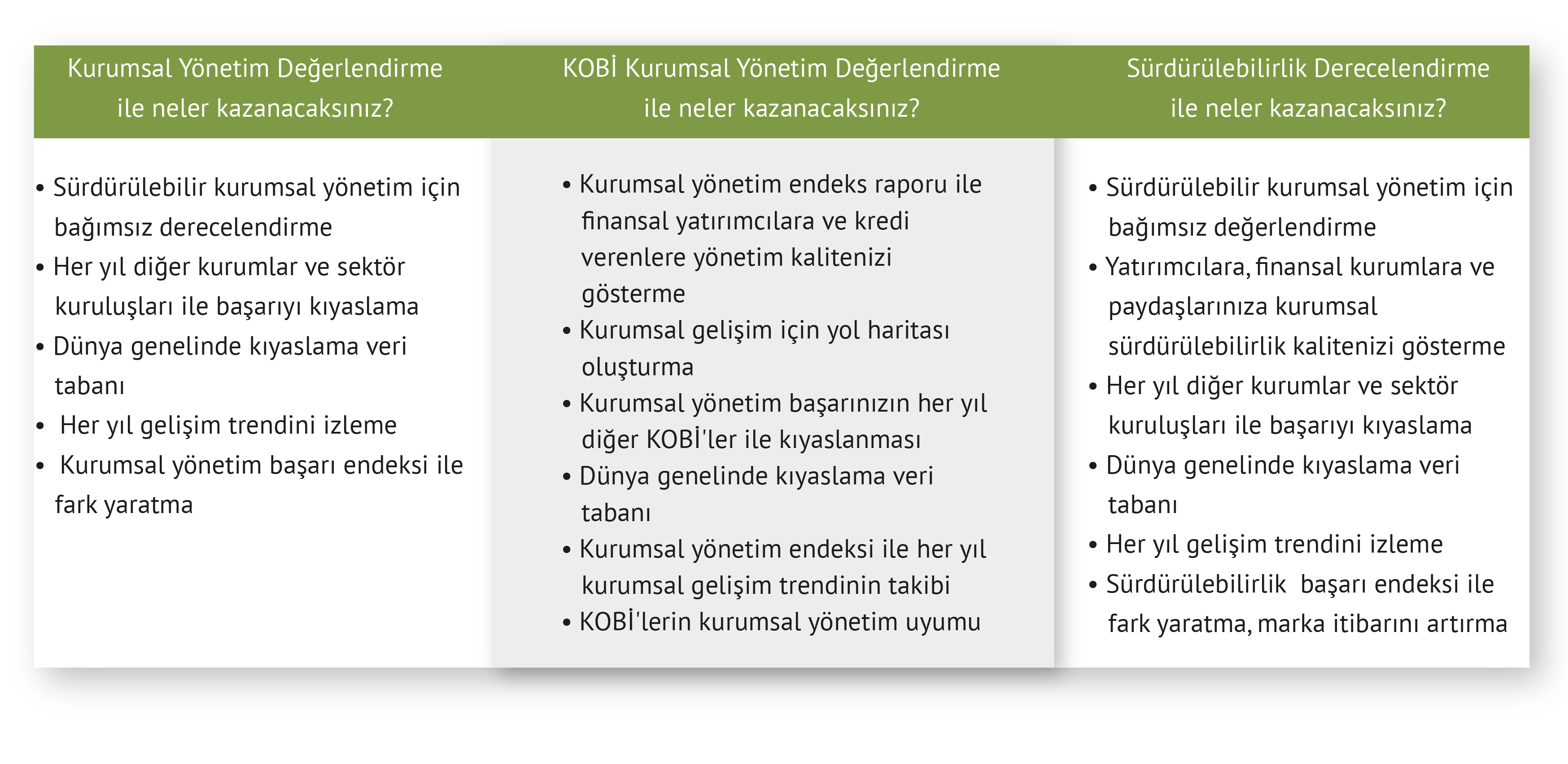 CGE Kurumsal Yönetim Şablonlar